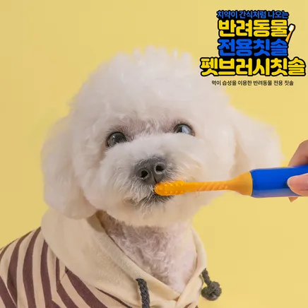 펫브러시 반려동물 칫솔 & 치약 [옵션선택]