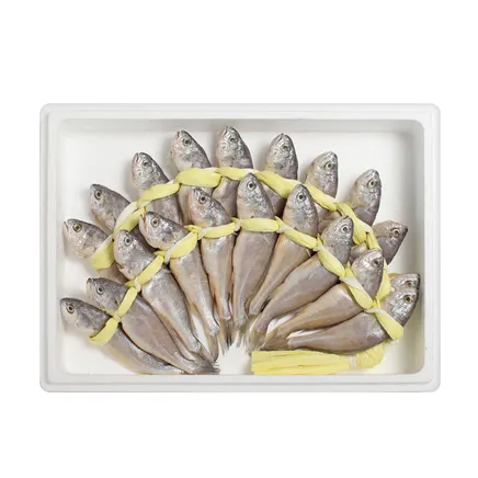 영광 법성포 굴비 엮걸이 20미 1.2kg·1.3kg·1.4kg·1.5kg [옵션선택]